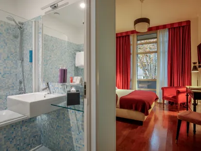 Bagno con doccia della camera Doppia Classic